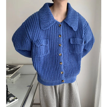 Cardigan Homme Col Chale