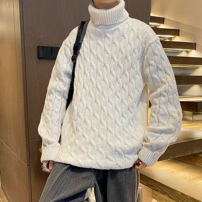 Pull Col Roulé Homme En Laine
