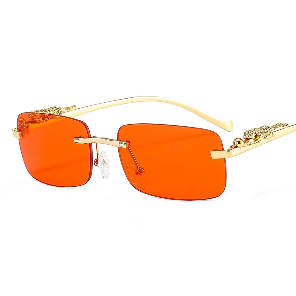 Lunette panthere